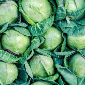 Cabbage