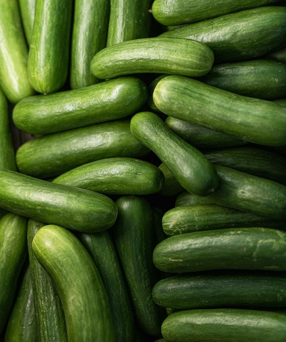 Cucumbers