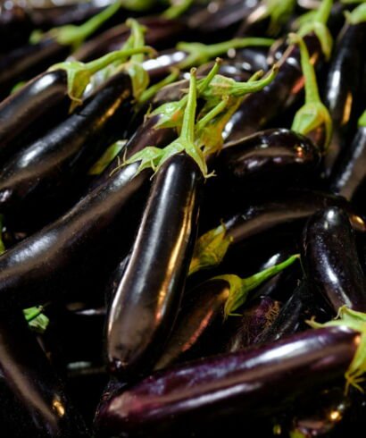 Egg Plant
