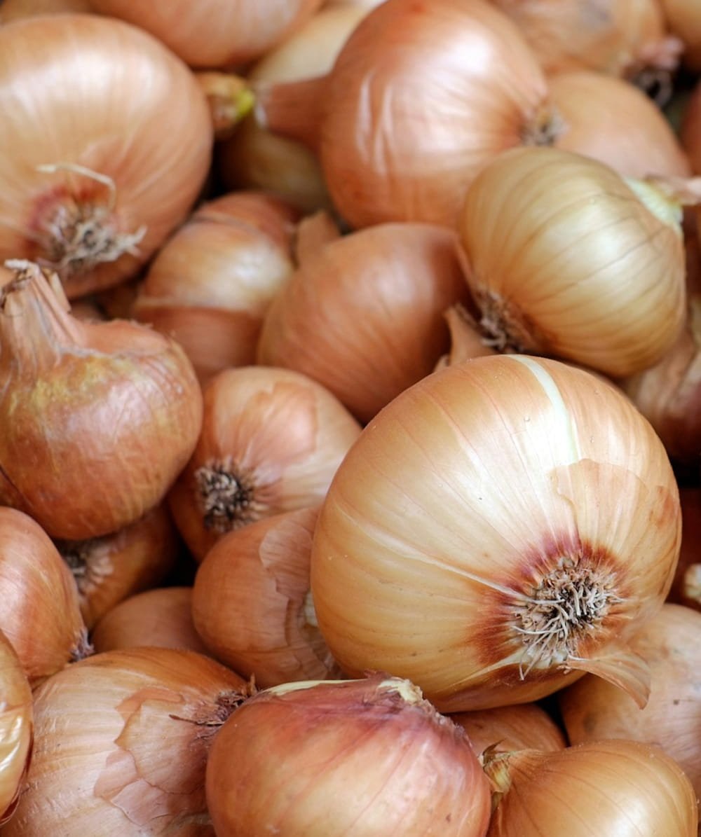 Onions