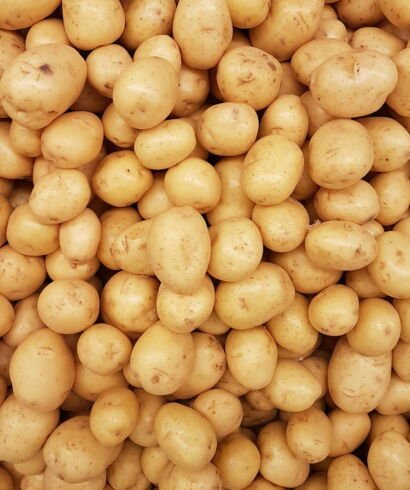 Potato