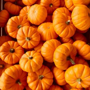 Pumpkin