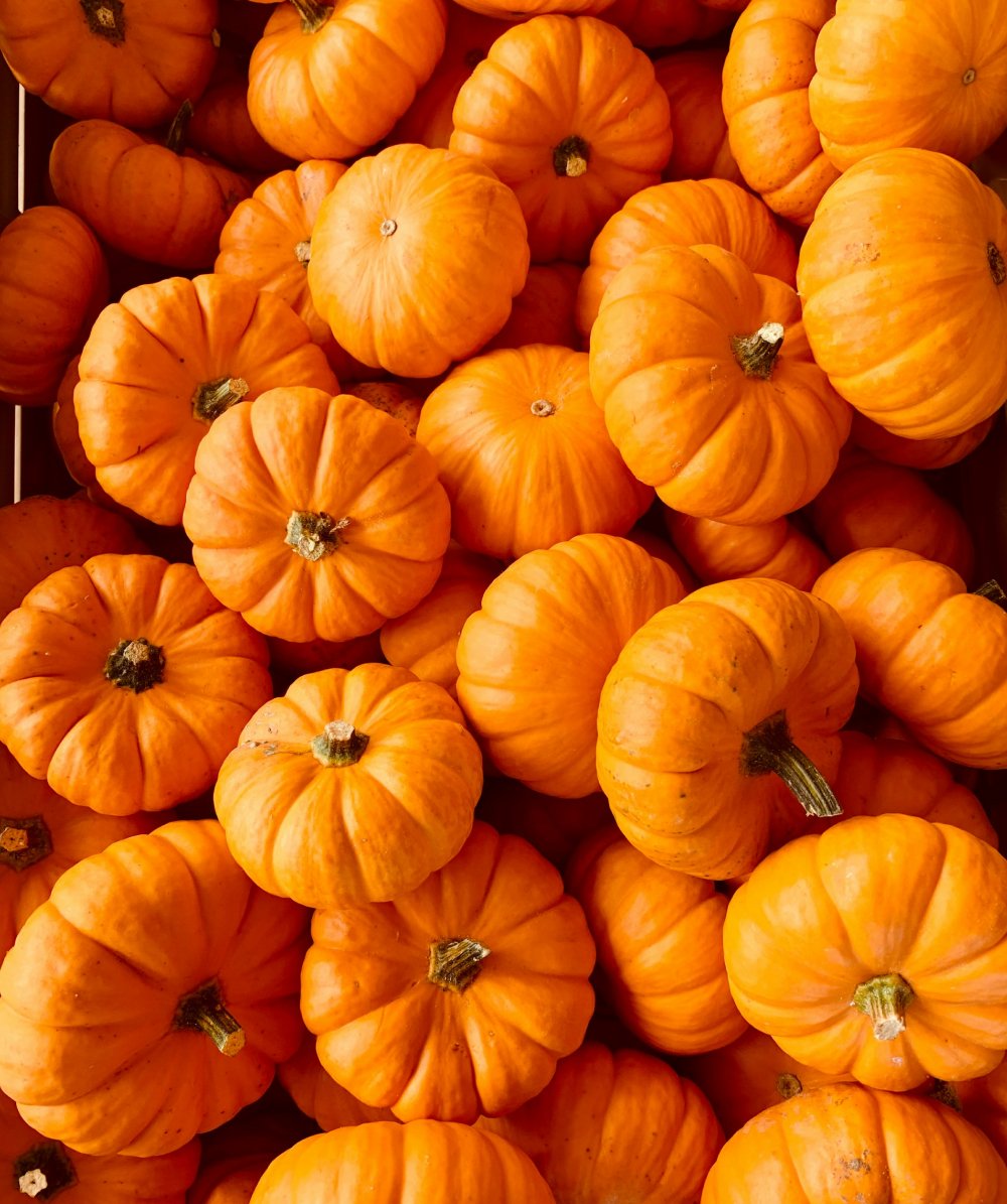 Pumpkin