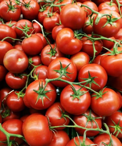 Tomato
