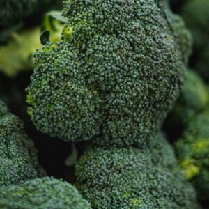 Broccoli