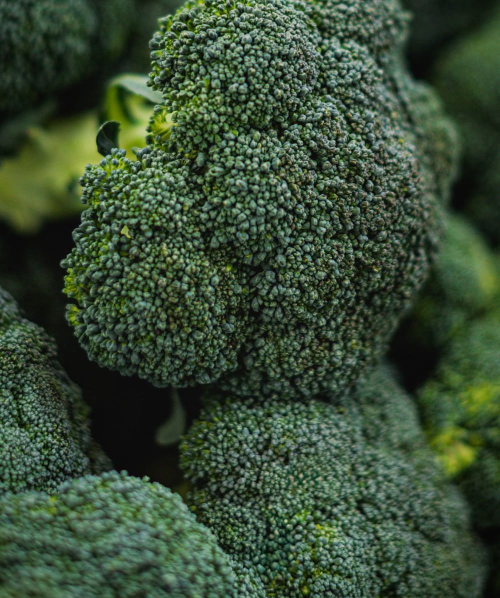 Broccoli