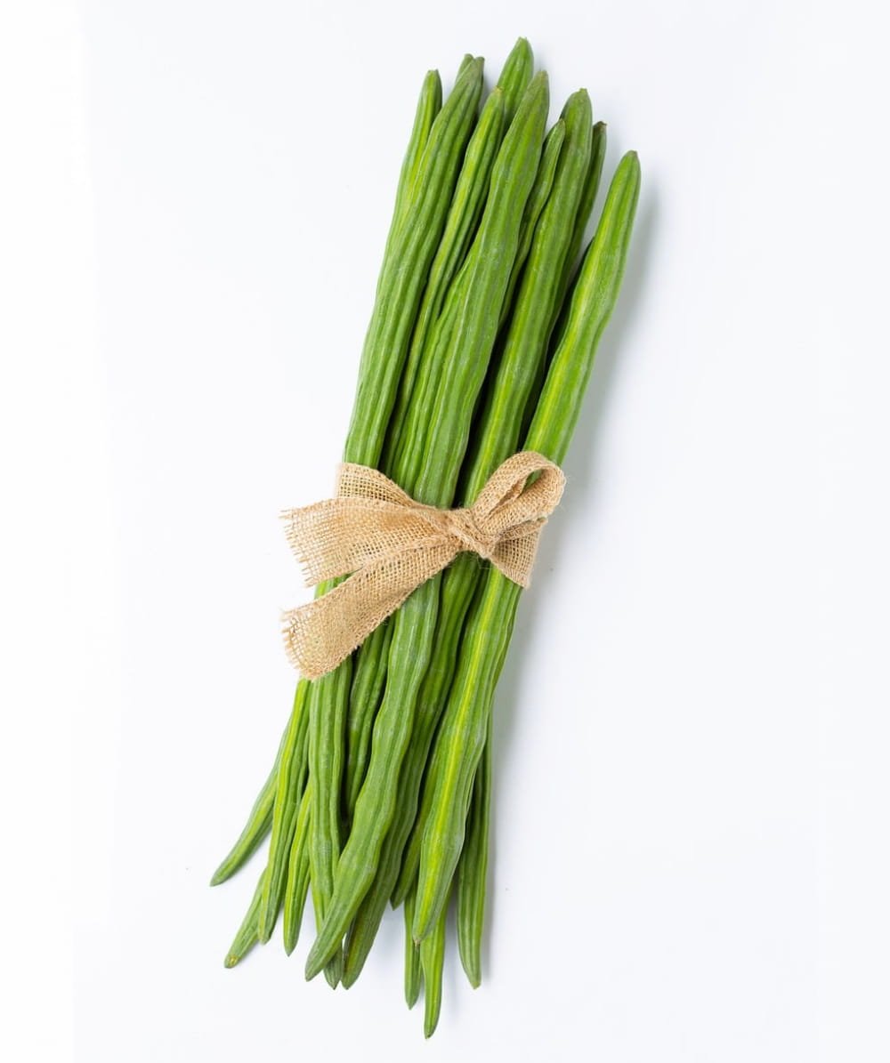 Drumstick - Image 2