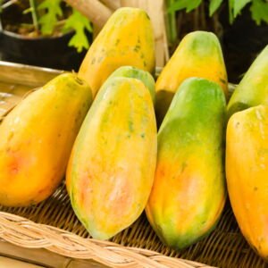 Papaya