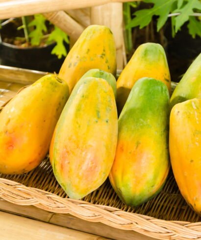 Papaya