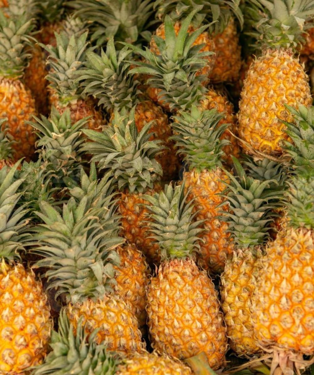 Pineapple - Image 2